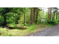 Crook Wood - SOLD