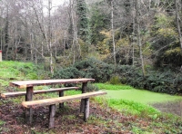 Dawes Wood & Pond - SOLD