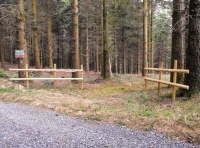 Fairfax Wood