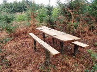 Furze Wood