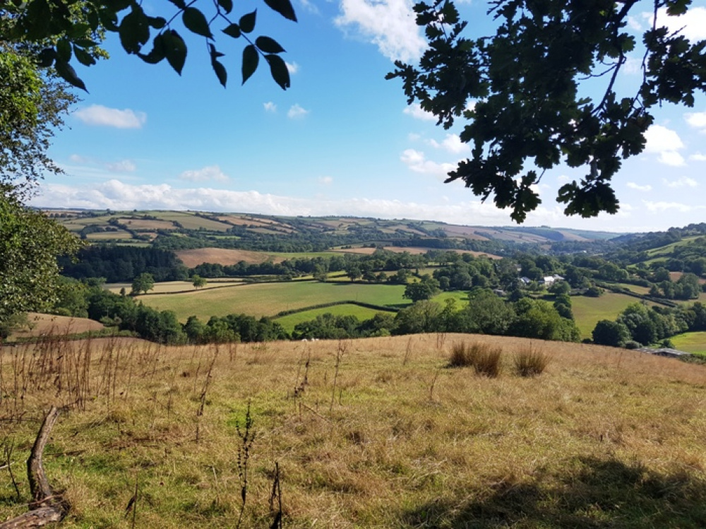 Stunning views looking north