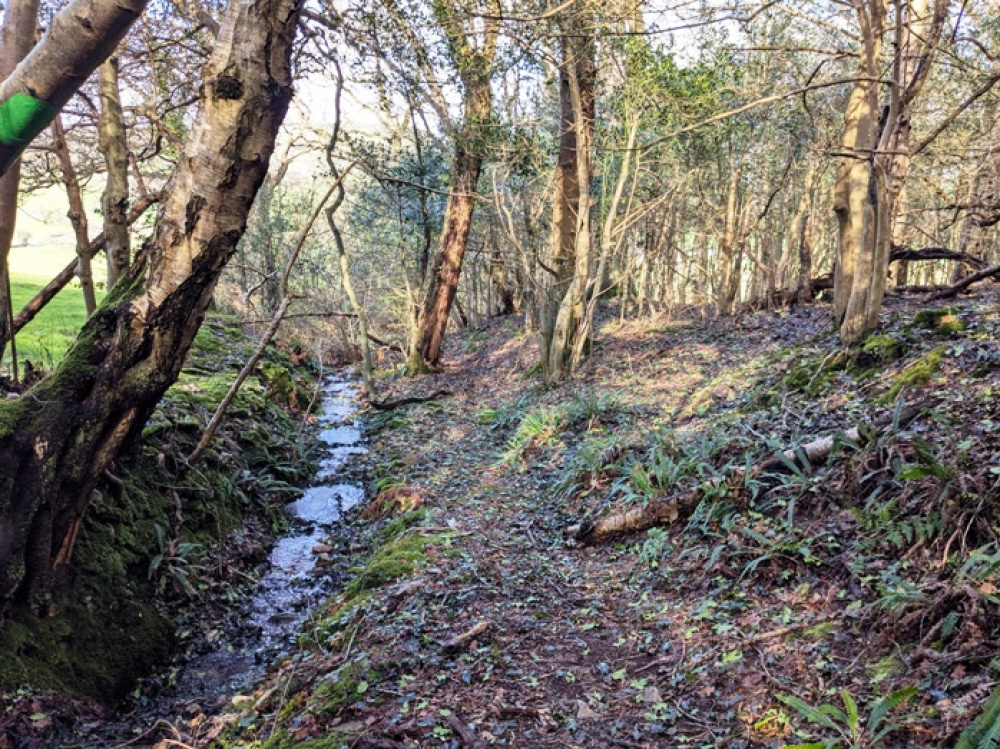 Stream and path along the western edge