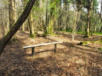 Knighton Wood - SOLD