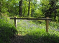Lightleigh Wood - SOLD