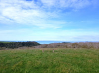 Lundy Meadow
