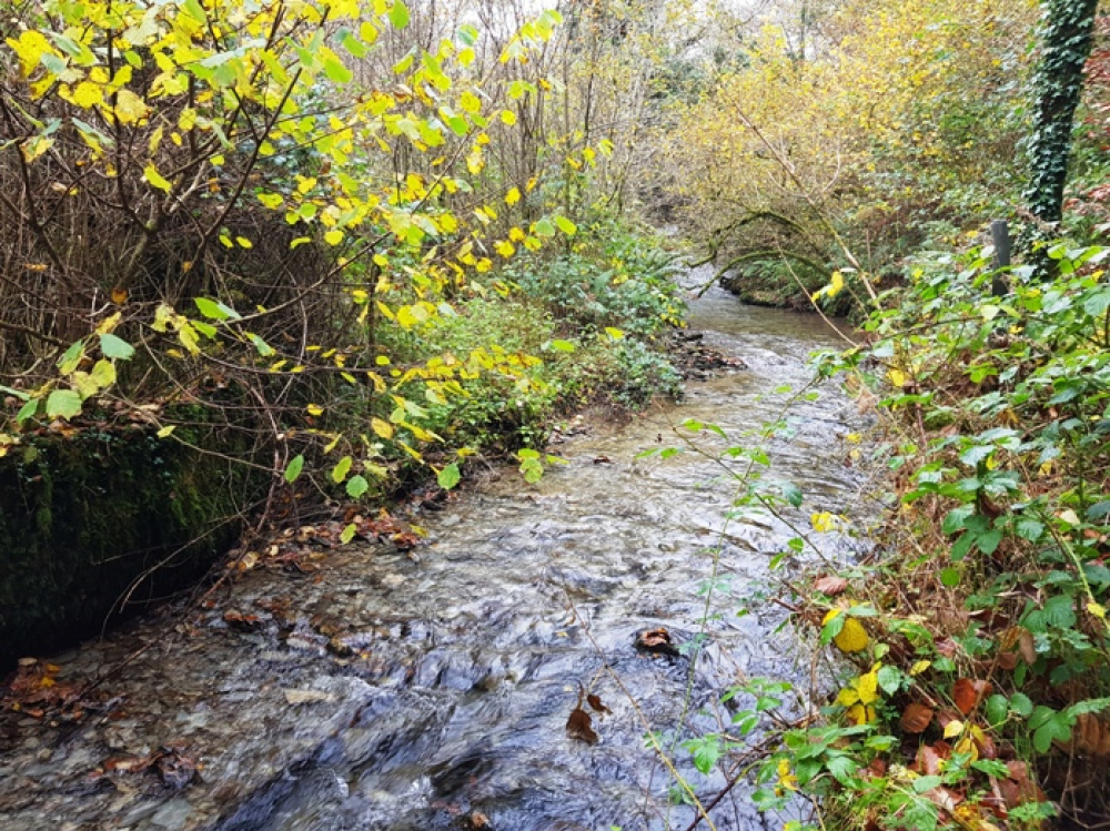 Stream to the west of the woodland accessed via a small shared area