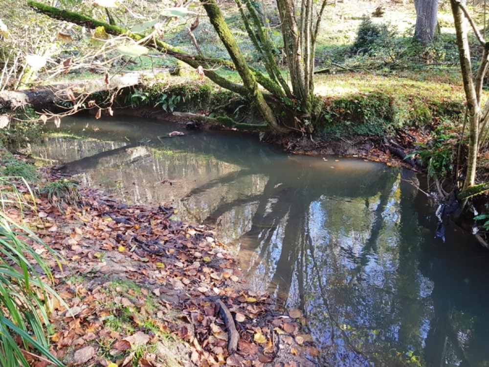 Bend in the stunning stream