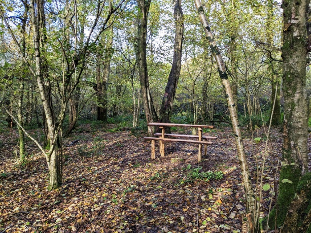 Enjoy a picnic in a sunny glade