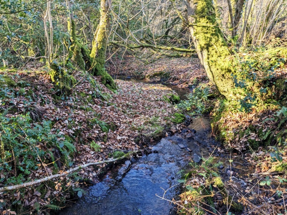 Winding stream