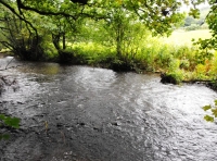 Otters Holt Wood - SOLD