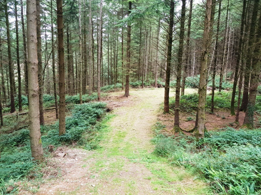 Meandering track into a large opening