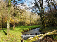 Shoulsbury Wood - SOLD