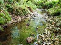 Snod Brook Wood