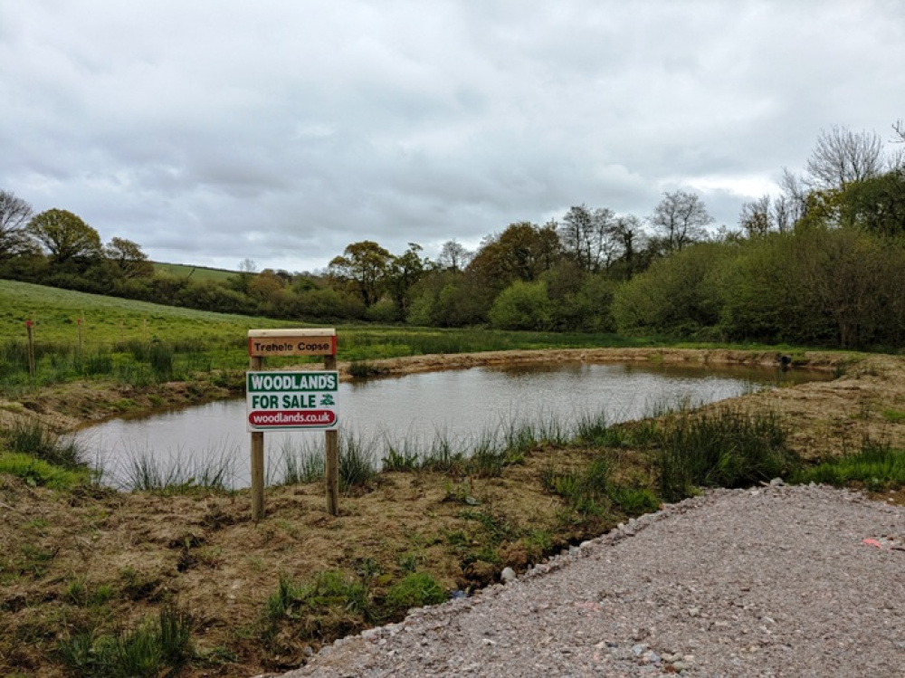 Entrance with the wildlife pond just behind