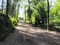 Trow Hall Wood - SOLD