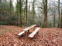 Williams Well Wood