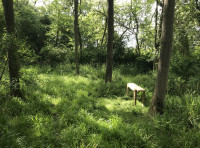 Biggles Wood - SOLD