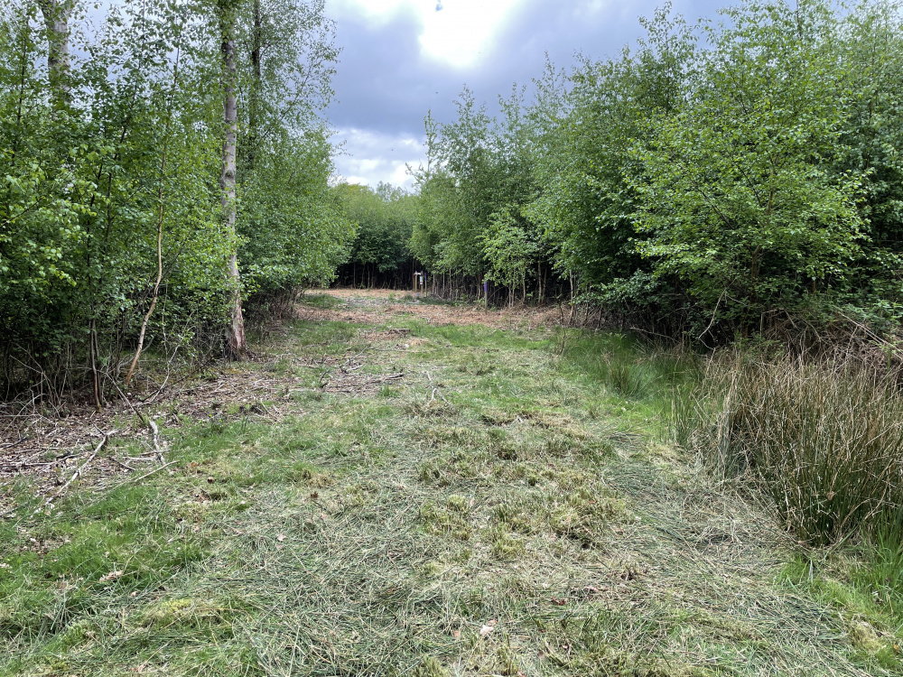 Internal track to the wood. 