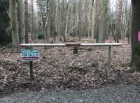 Claudius Wood - SOLD