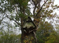 Crabbe Wood - SOLD
