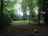 Dahl Wood - SOLD