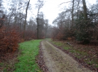 Defoe Wood - SOLD