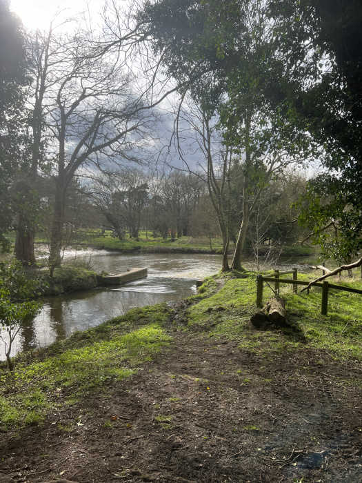 A view from the wood. 