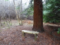Hammer Wood - SOLD