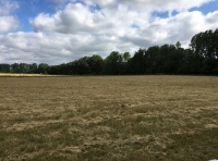 Iceni Meadow - SOLD
