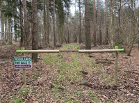 Mannington Wood - SOLD