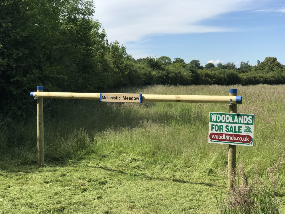 Meadows and Fields for sale Woodlands.co.uk