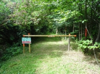 Osyth Wood - SOLD