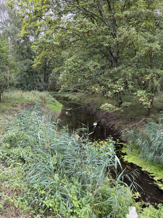 Little Ouse River. 
