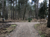 Repton Wood - SOLD