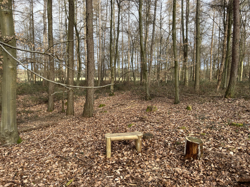 Bench with view of the field.