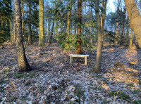 St Agnes Wood - SOLD