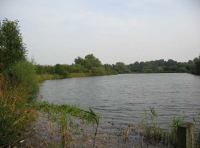 Surlingham Wood - SOLD