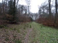 Wichama Wood - SOLD
