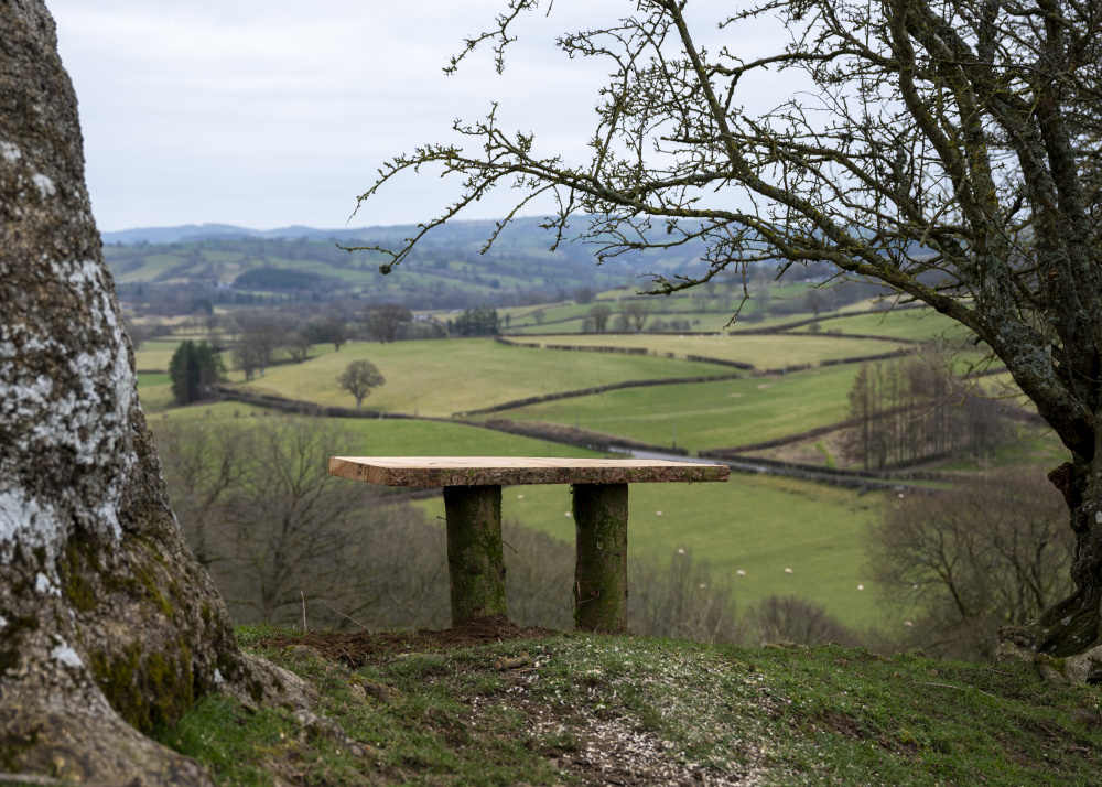 Bench with a view across the Banwy