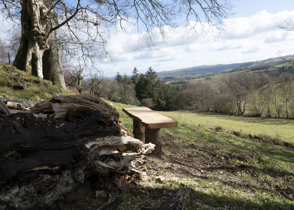 Looking east from the highest point in the meadow