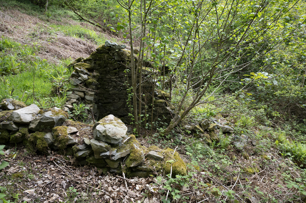 Old long house, Ty Hir - Bwlch Coch 