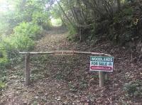 Coed Cilgwyn - Cilgwyn Wood