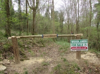 Coed Dinnant - Dinnant Wood - SOLD
