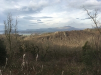 Coed Dolorgan (Dolorgan Wood) - SOLD