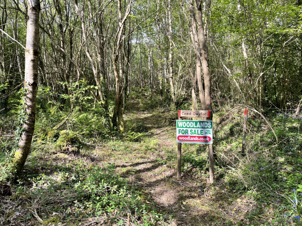 Entrance to the wood