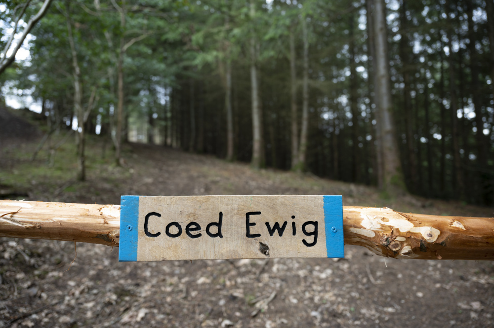 Croeso - Welcome to Coed Ewig