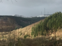 Coed Garw - Garw Wood - SOLD