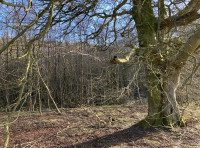 Coed Gruffydd - SOLD