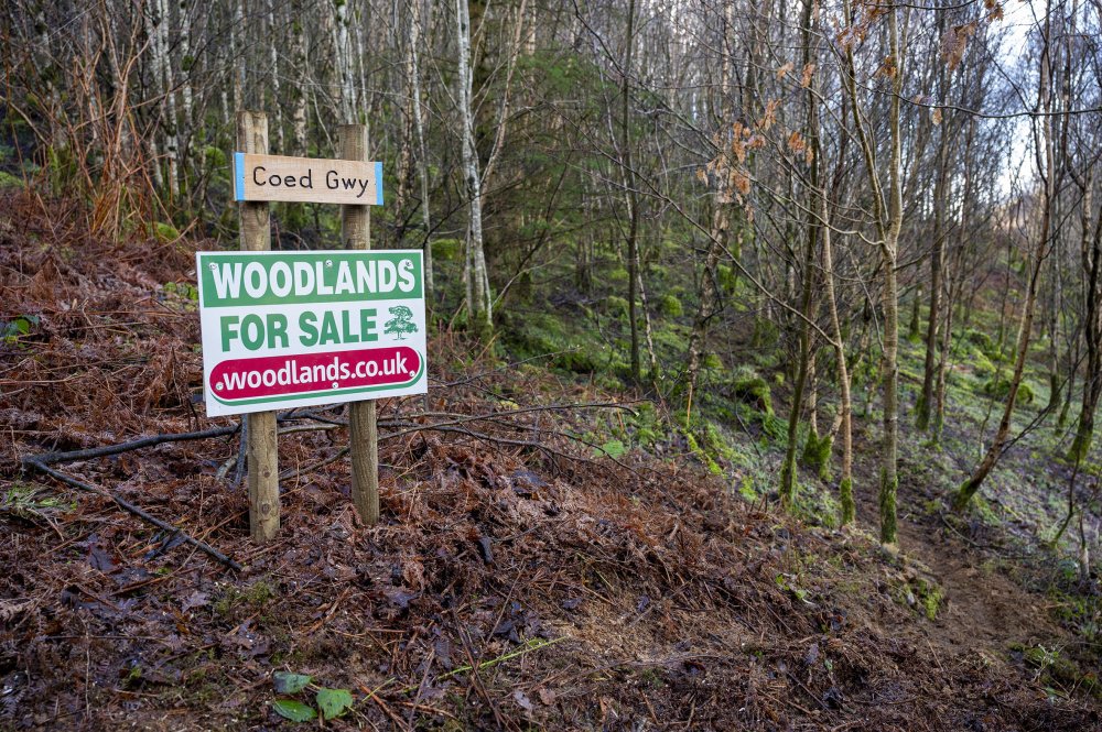 Croeso - Welcome to Coed Gwy