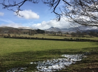 Coed Ogwen - Ogwen Wood - SOLD